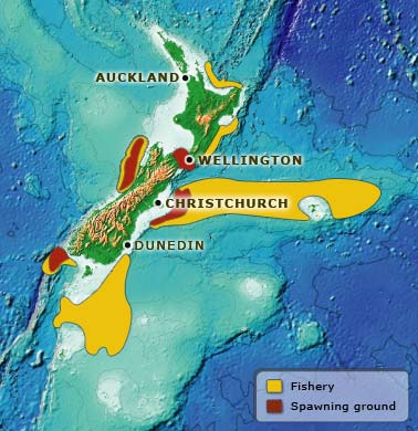 Hoki fisheries and spawning grounds