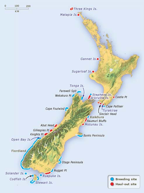 Fur seal mainland sites, 1995