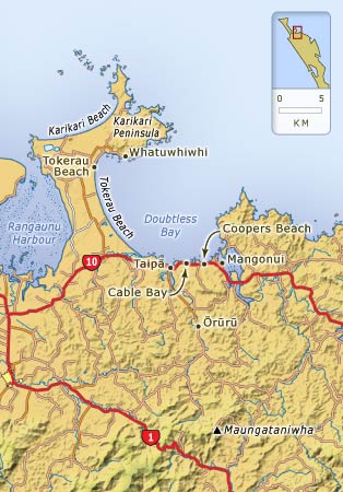 Mangōnui and district