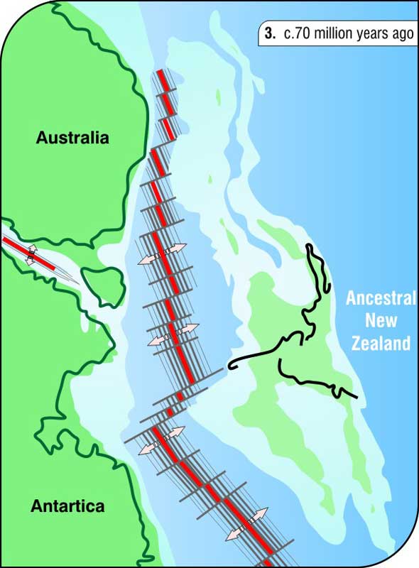 New Zealand adrift