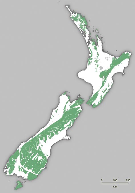 Mesozoic rocks