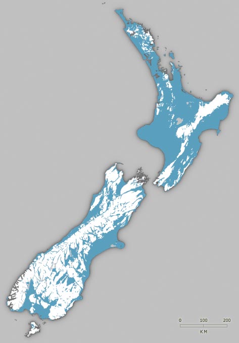 Cenozoic rocks