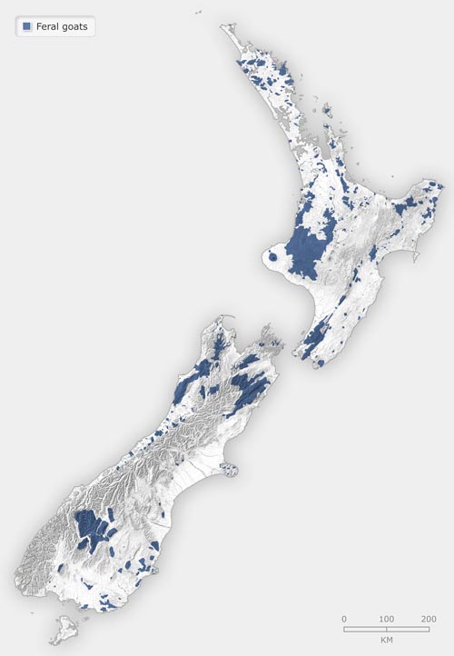 Distribution of feral goats