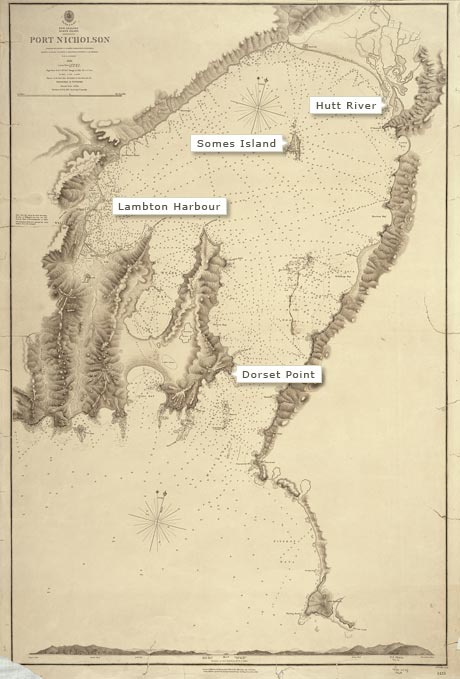 New Zealand Company names, Wellington Harbour