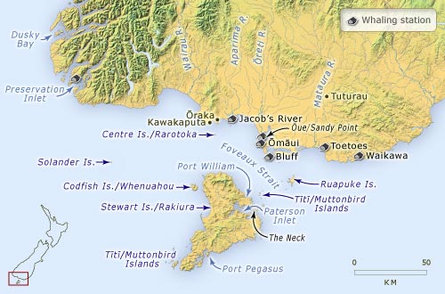 Whaling in Foveaux Strait, 1820s to 1840s