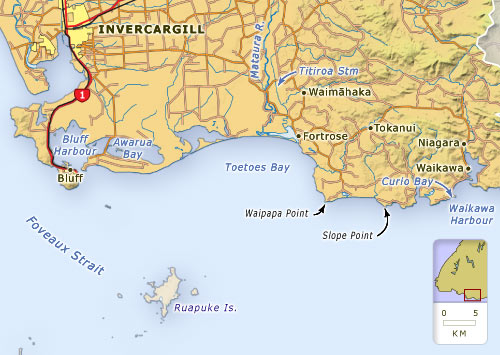 Bluff and the south coast