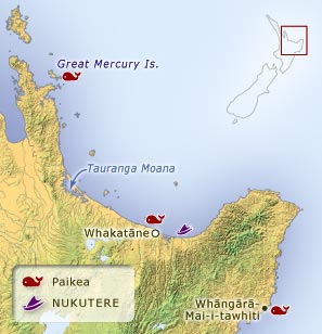 Landing sites of Nukutere and Paikea