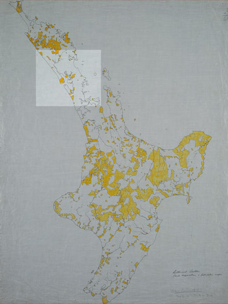 Māori land holding 1910 
