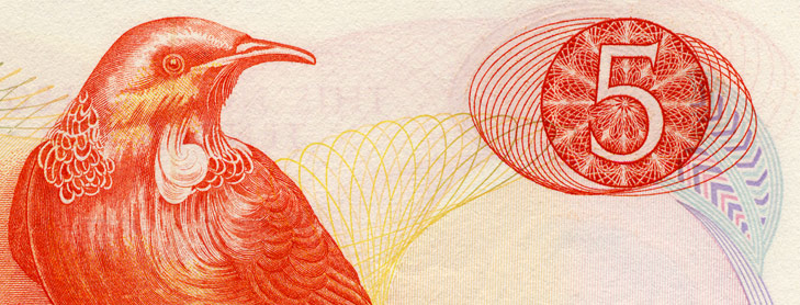 Detail of old $5 note featuring Tuī