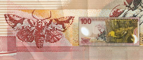 $100 note 