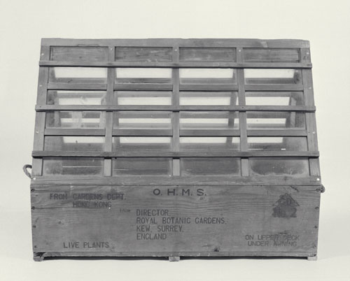 Wardian case