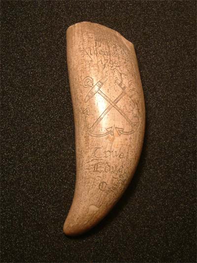 Scrimshaw