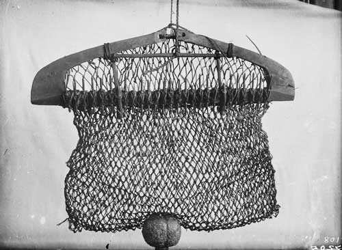 Mussel dredge 