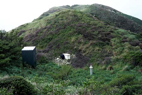 Frog bank, Stephens Island 
