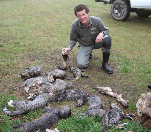 Dead predators
