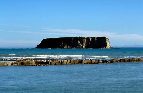 Motunau Island