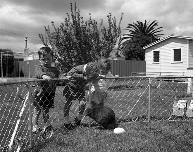 Kiwi and children