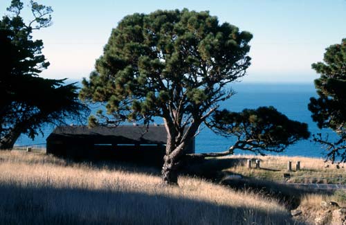 Godley Head gun emplacement