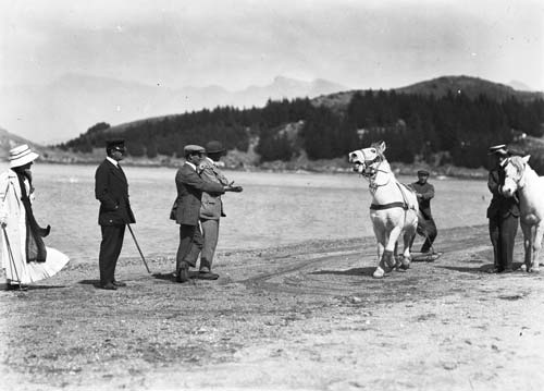 Training ponies, Quail Island