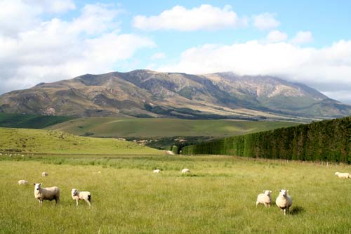 Mt Somers 