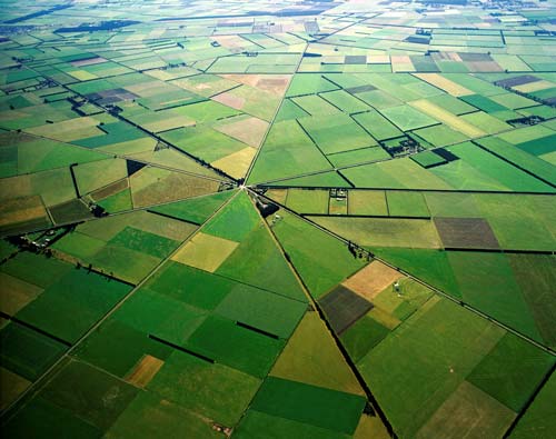 The Canterbury Plains