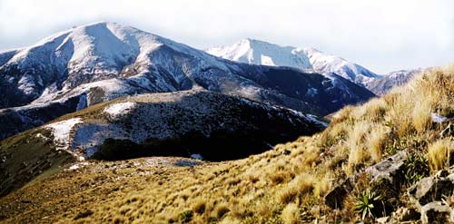 Korowai–Torlesse Tussockland Park