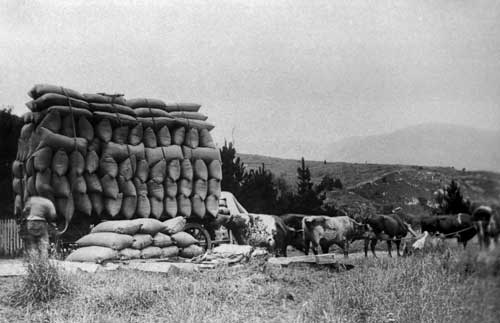 Carting grass seed