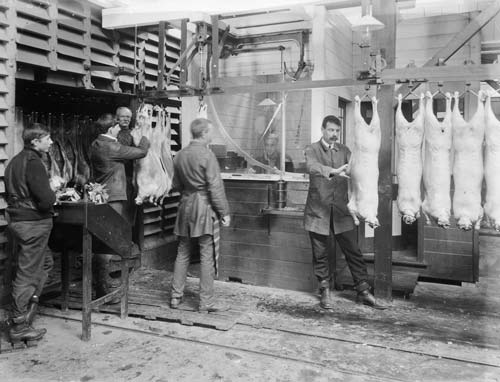 The meat industry