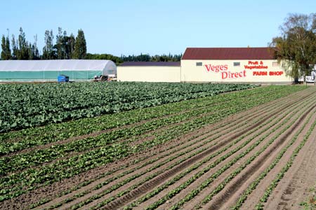 Market gardening