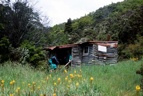 Chaffey Hut, Cobb valley 