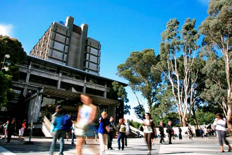 The new library 