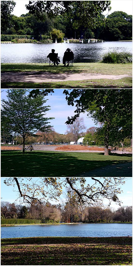 Hagley Park, 2006, 2011 and 2014