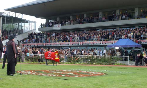Riccarton Racecourse