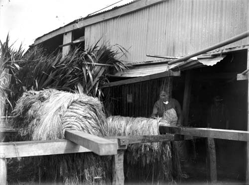 Washing flax fibre 