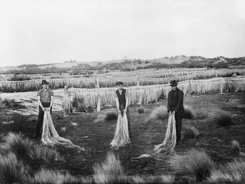 Drying fibre 