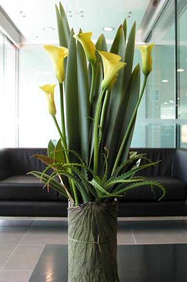 Flower arrangement