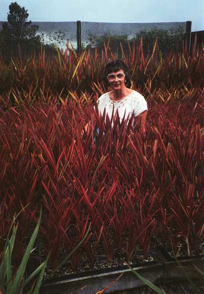Margaret Jones
