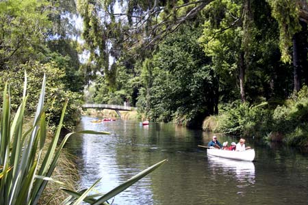 River planting, Christchurch