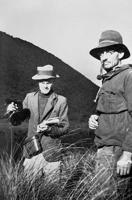 Takahē expedition