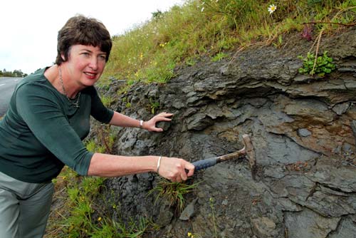Fossil turtle find