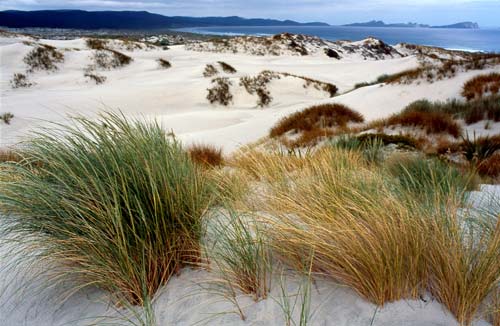 Sand dunes