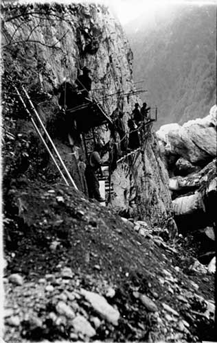 Viewing platform, Franz Josef Glacier