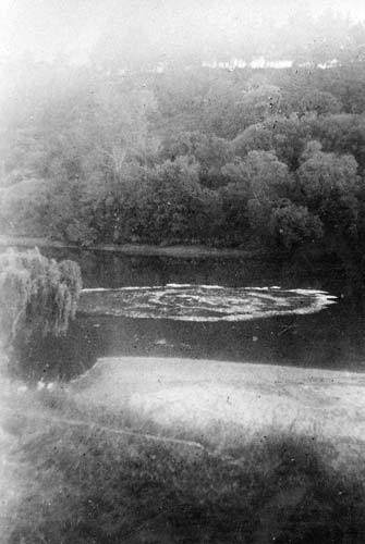 Ūpokongaro, Whanganui River