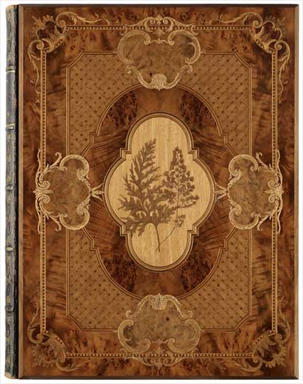 Fern album 
