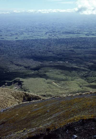 Bands of vegetation, Mt Taranaki