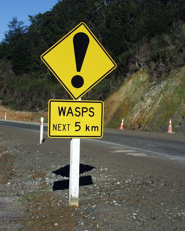 Wasp warning