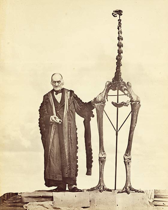 Richard Owen 
