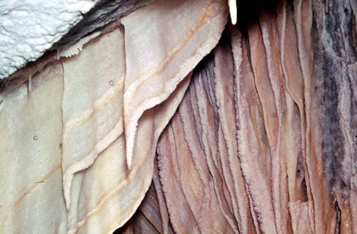 Rock formations 