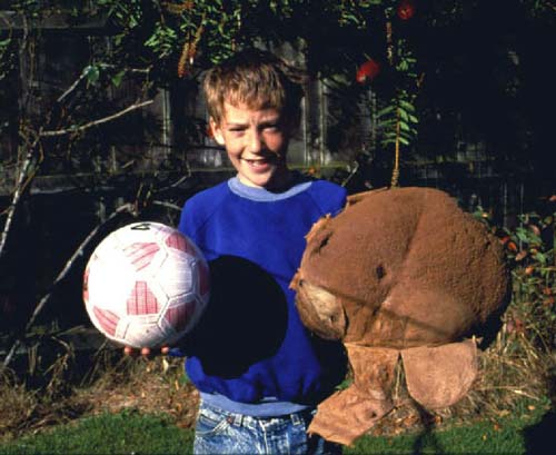 Giant puffball