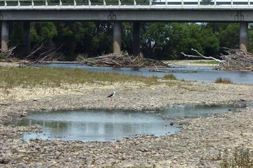 Low water